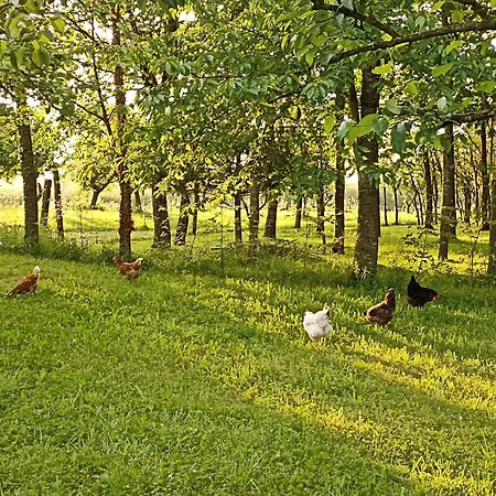 Nature Et Detente Holiday home Aubreville