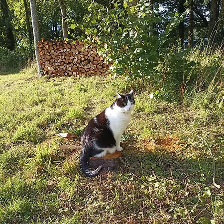 Holiday home Nature Et Detente Aubreville