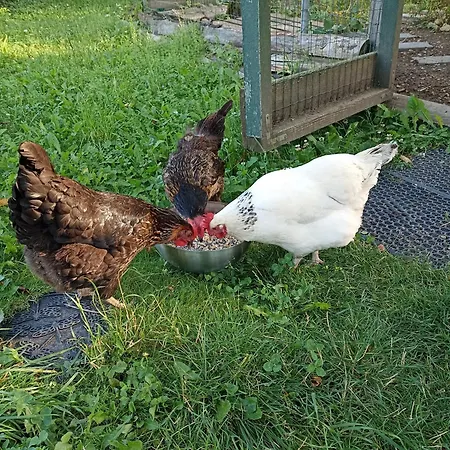 Nature Et Détente *