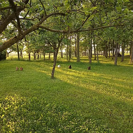 Nature Et Detente Aubreville