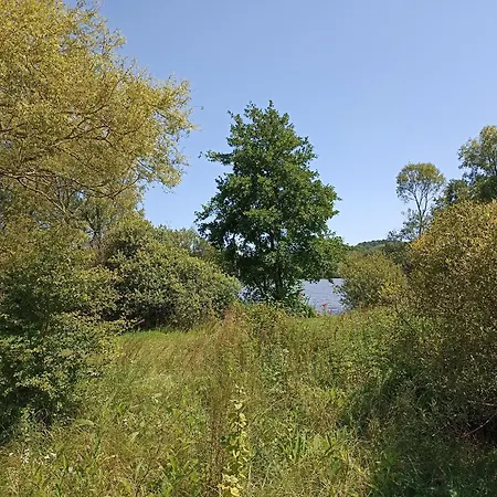 Nature Et Detente
