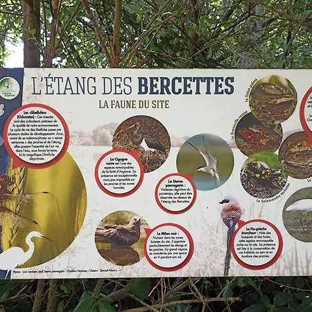 Nature Et Detente