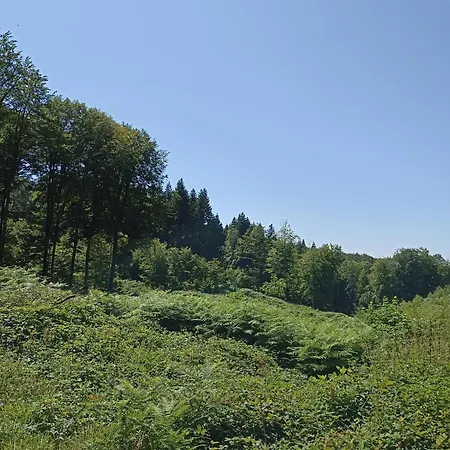 Nature Et Detente Holiday home