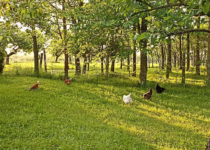 Nature Et Detente Vakantiehuis Aubréville