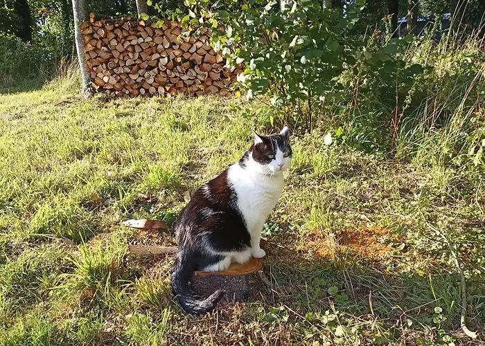 Prázdninový dům Nature Et Detente Aubréville