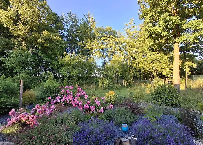 Vakantiehuis Nature Et Detente Aubréville